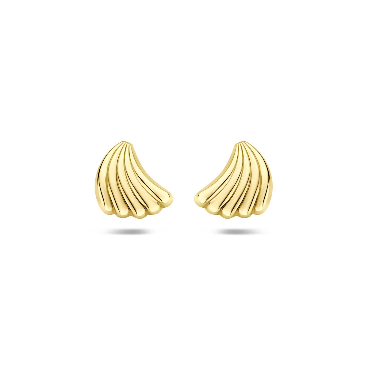 Orecchini in oro giallo 14k con design a conchiglia e finitura lucida.