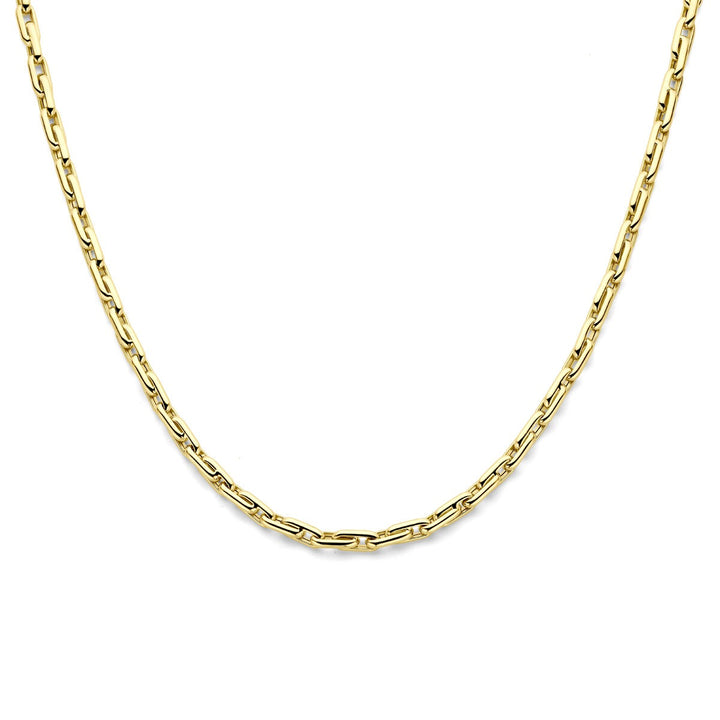 14k Geelgouden Collier Anker Schakel