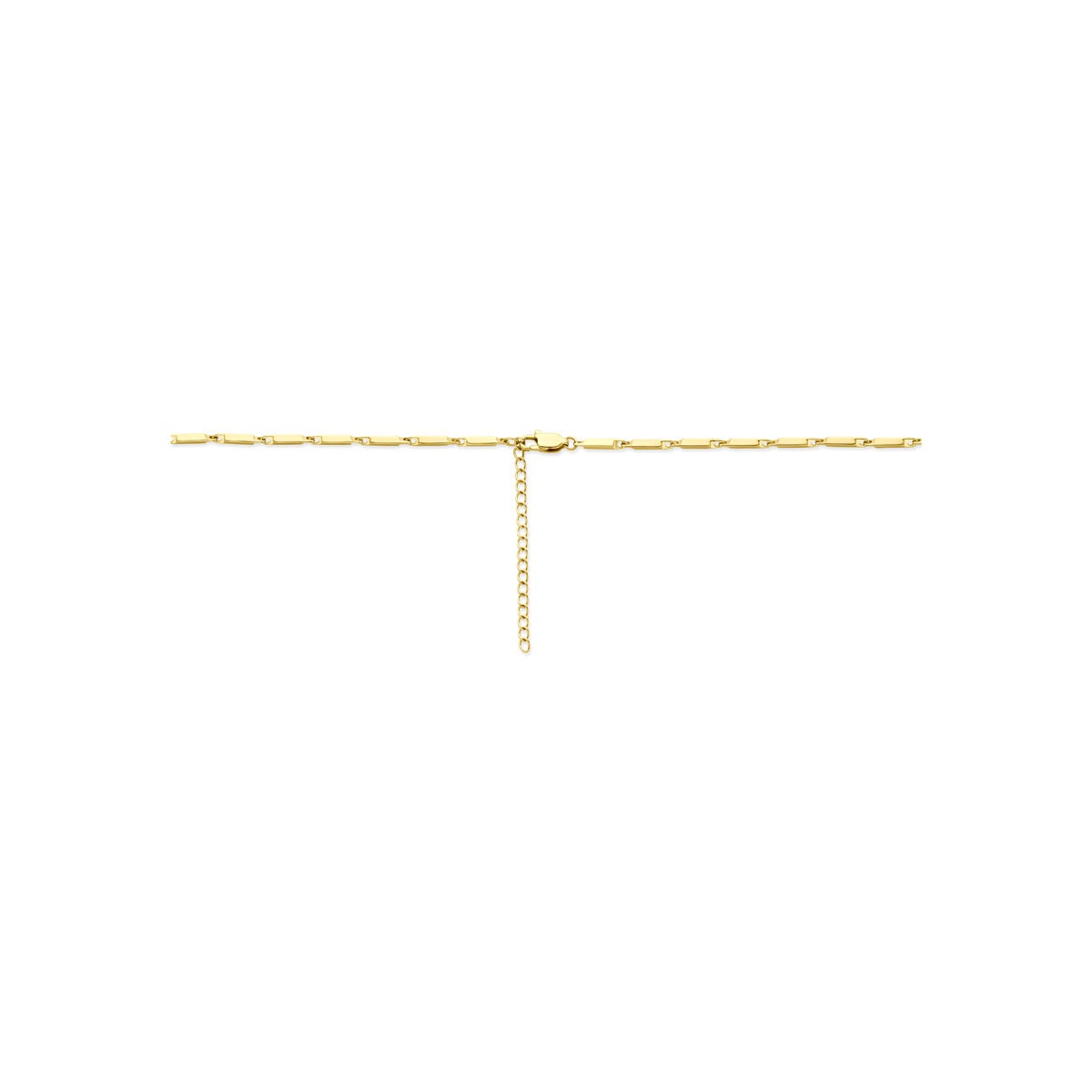 Collana in acciaio color oro 2.5mm con estensione 55–60cm