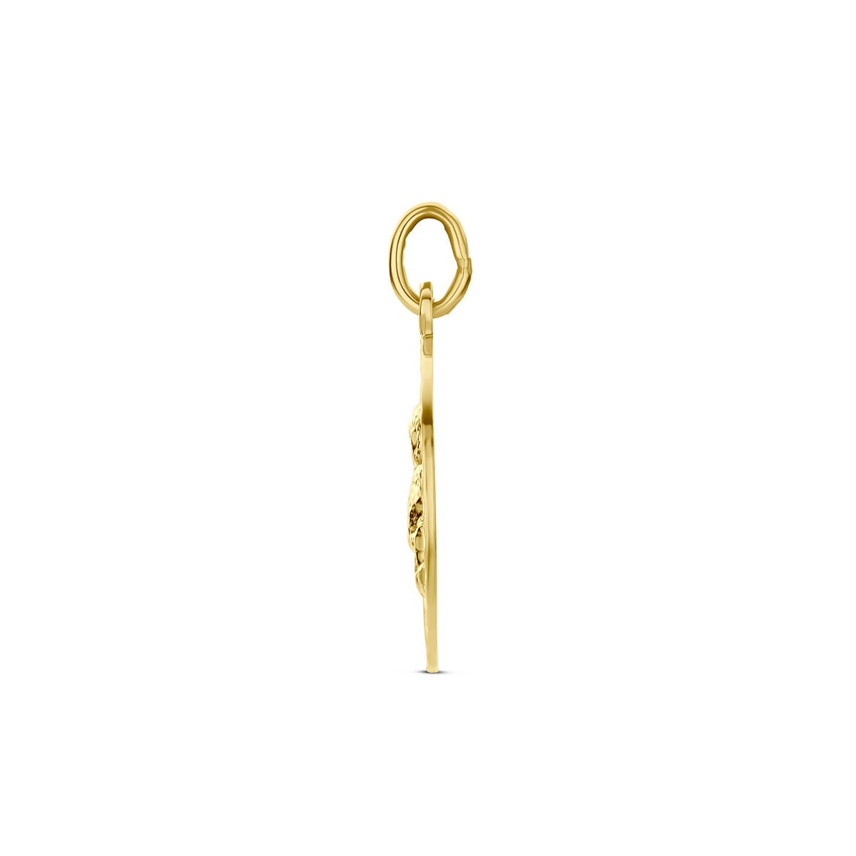 9k Geelgouden sterrenbeeld hanger