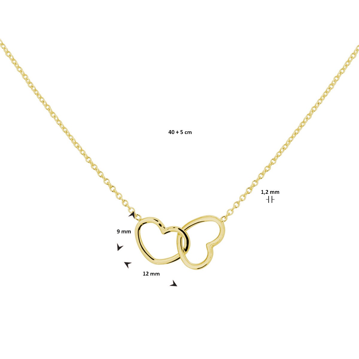 Collana in Argento Dorato con Due Cuoricini – 40-45 cm