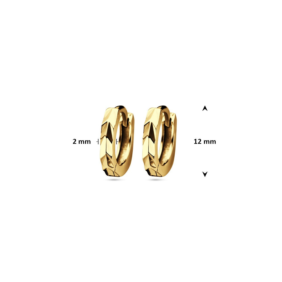 Orecchini a cerchio in argento placcato oro – eleganza color oro 12 mm