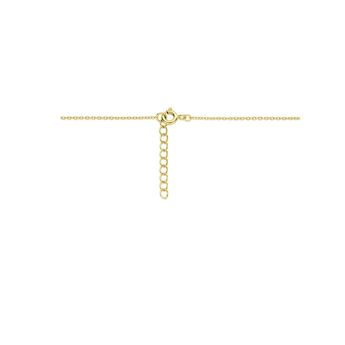 Collana in argento dorato con ciondolo a cuore in zircone e medaglione in onice