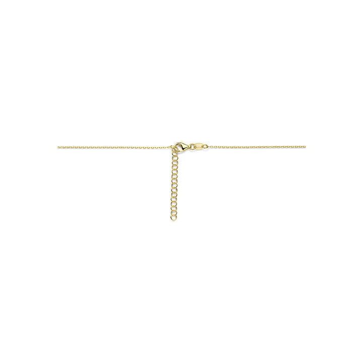 Verguld geel en gerhodineerd 925 zilveren collier met hartje