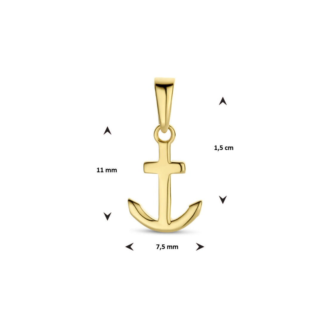 9k Geelgouden anker hanger