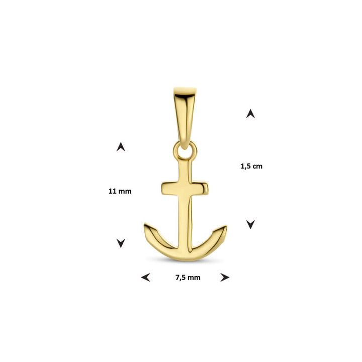 9k Geelgouden anker hanger