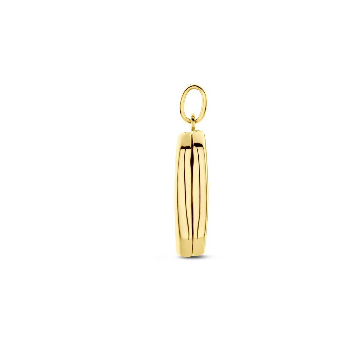 Medaglione Ovale in Oro Giallo 14k