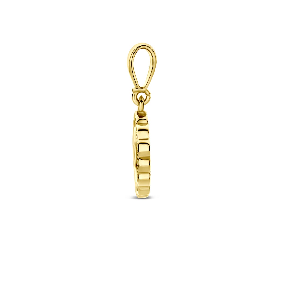 Collana in Oro Giallo 9k con Ciondolo Zirconia Rotondo