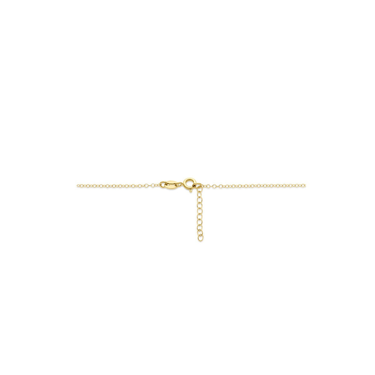 Collana in oro giallo 14k a maglia ovale