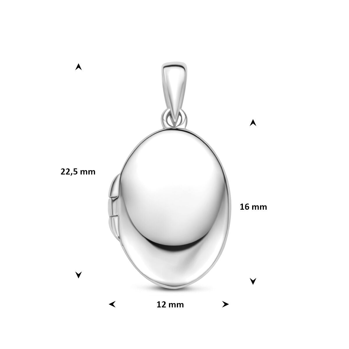 Medaglione in argento 925 placcato rodio