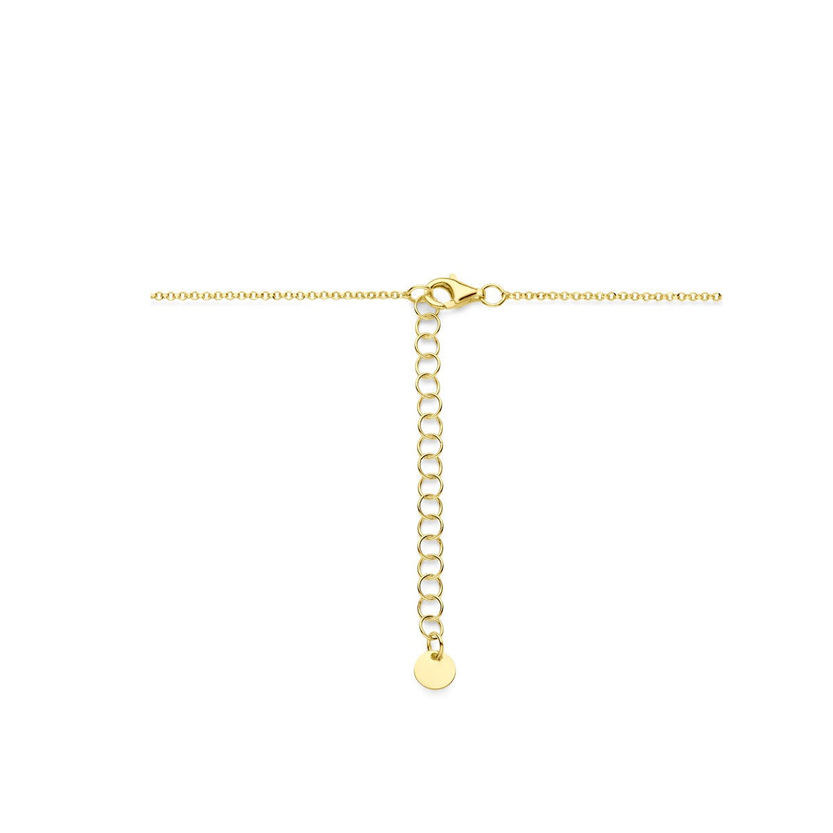 Collana in Argento Dorato con Motivo Botanico – 40-45cm
