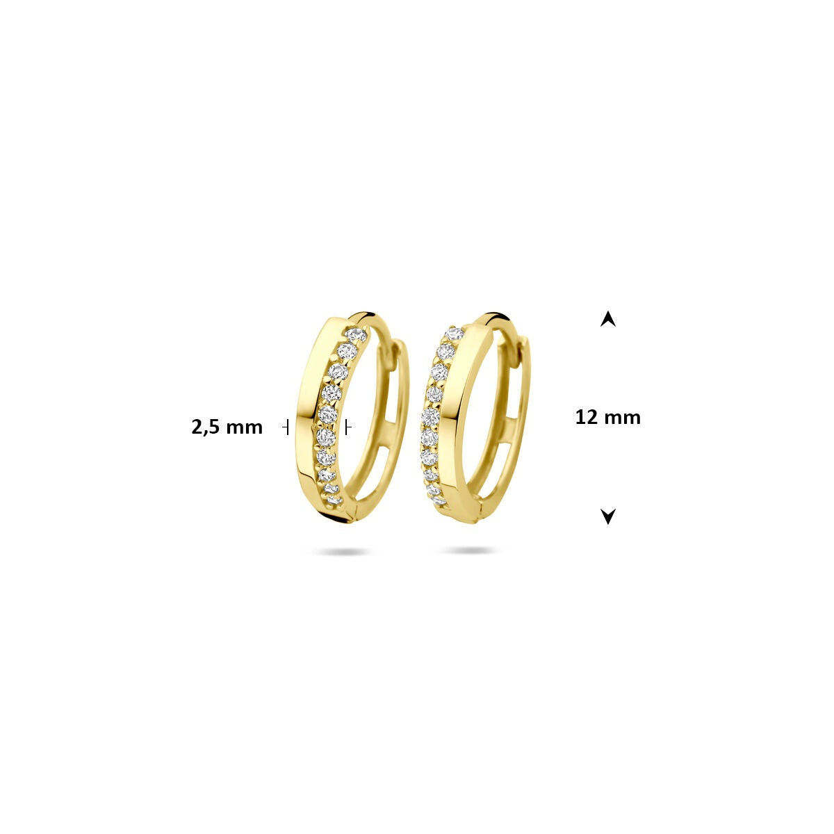 Orecchini a cerchio con chiusura a scatto in oro giallo 9k con zirconia