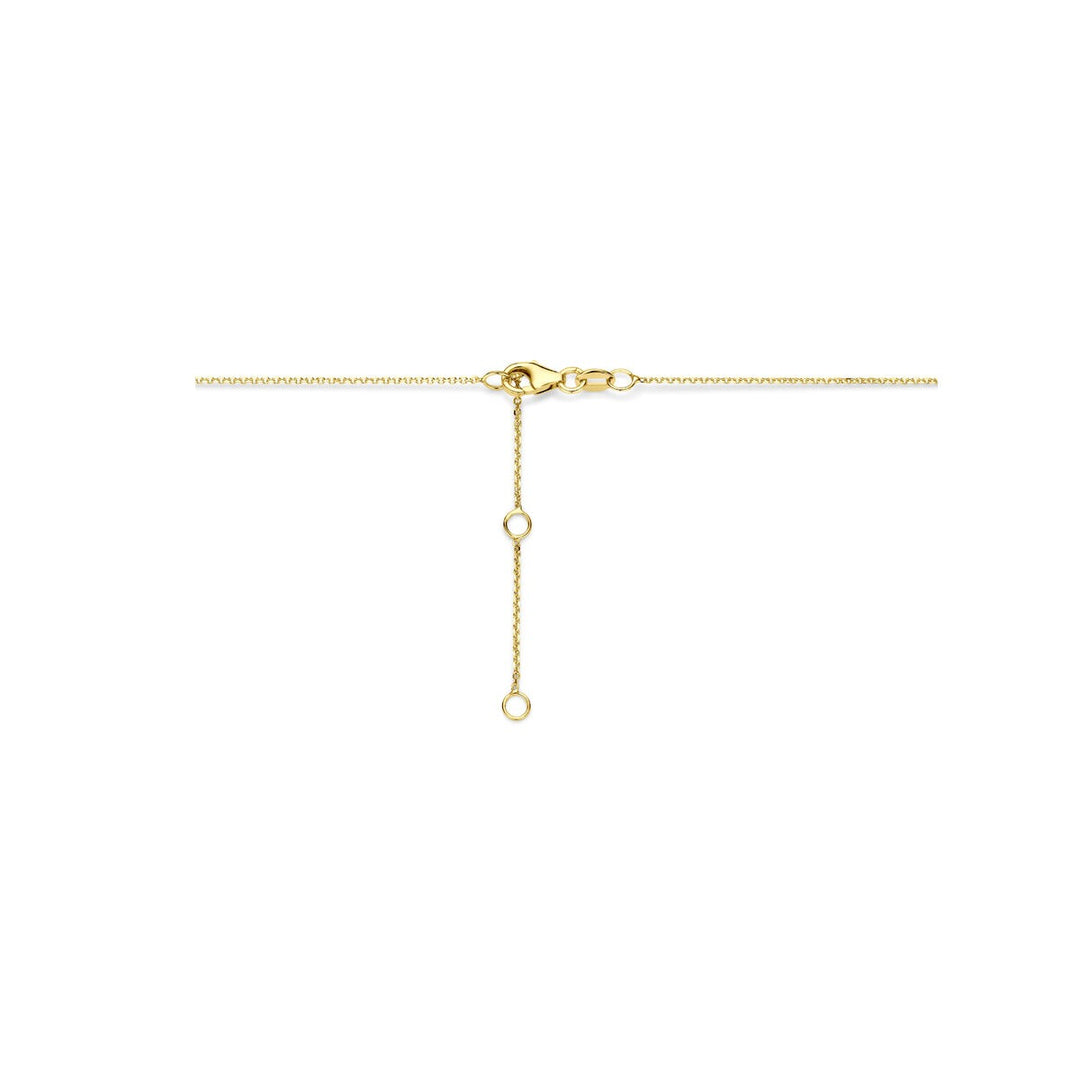 14k Geelgouden ketting met anker