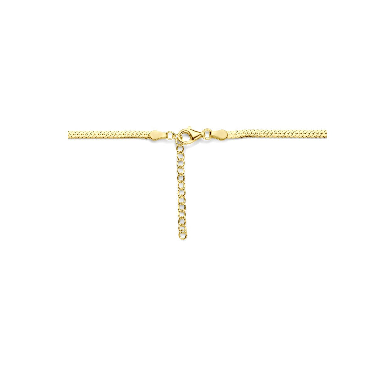 Collier gourmette in argento dorato – Collane da donna