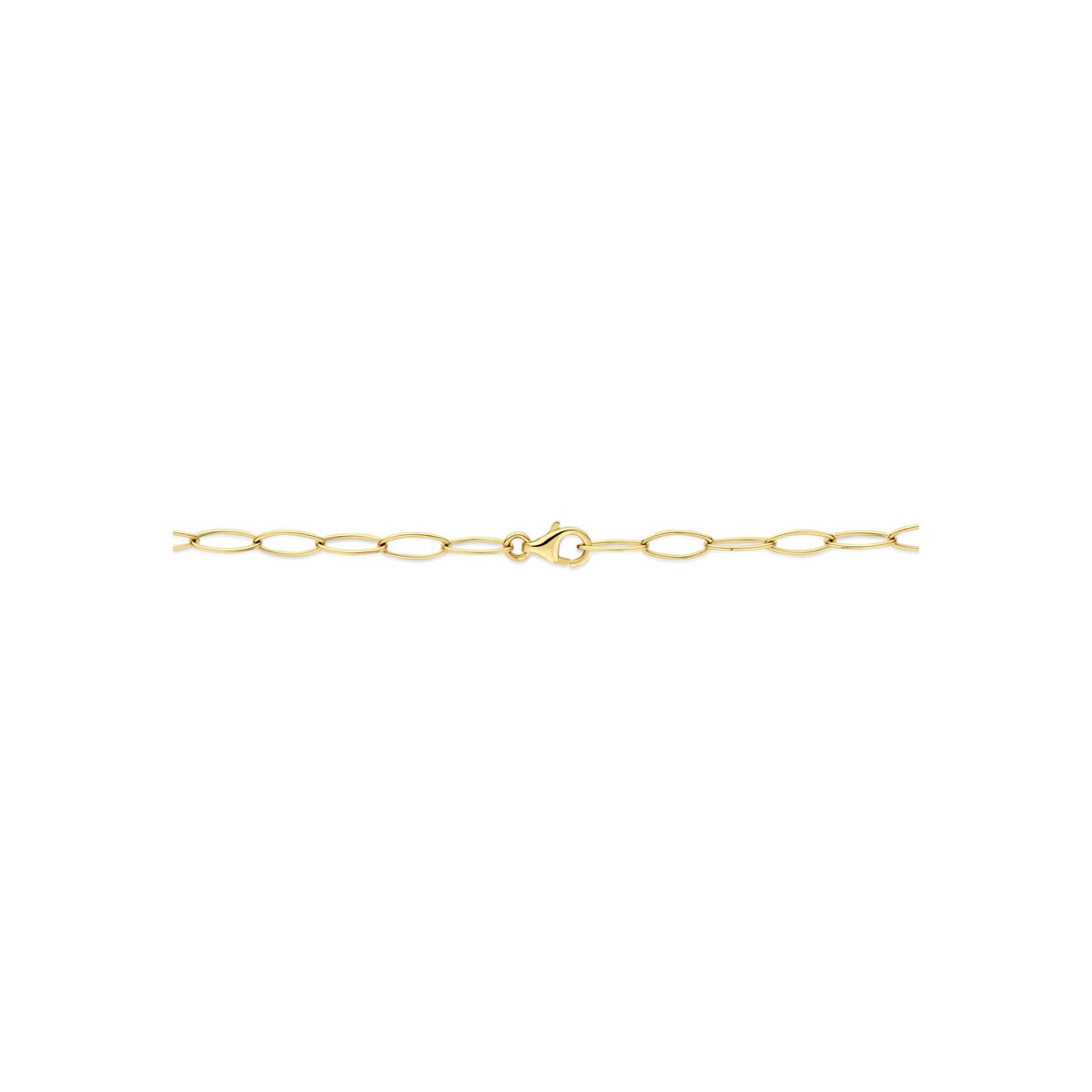 Collana a Maglie in Oro Giallo 14k Ancora