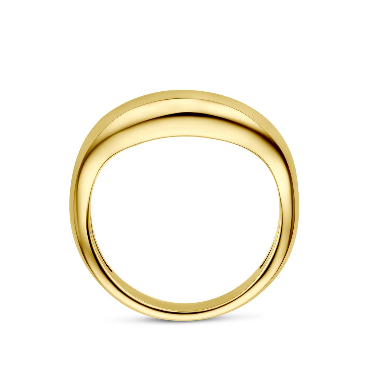 Anello in oro giallo 14k