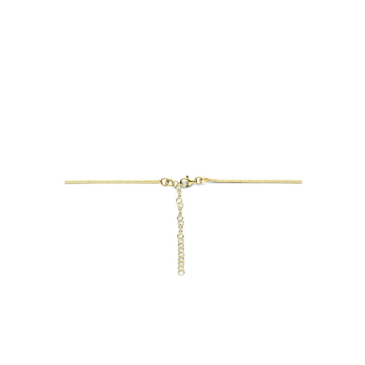 Collana d'Argento Dorato con Maglia a Serpente Piatta