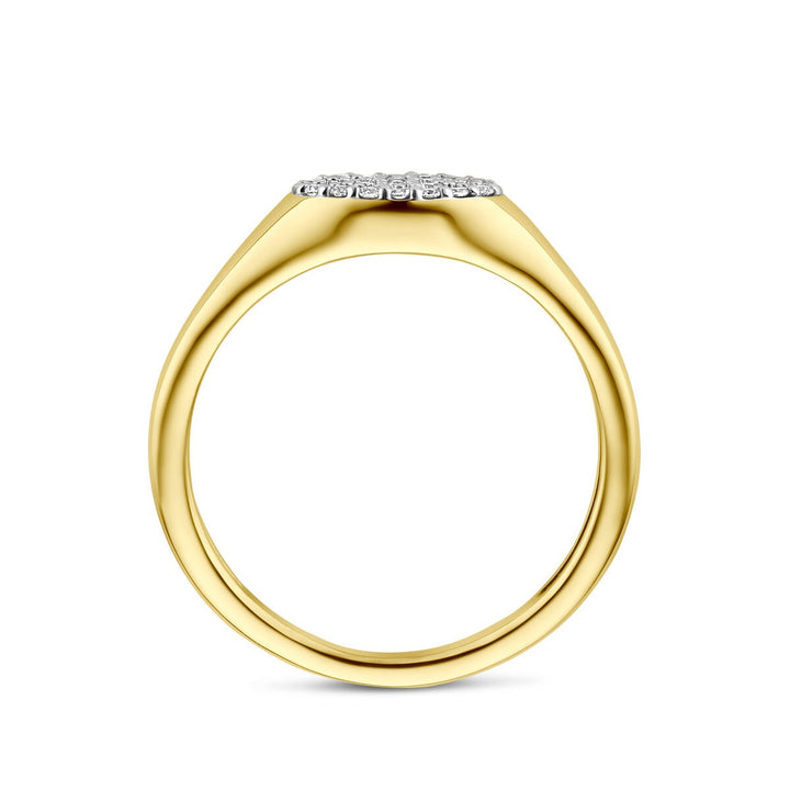 14k geelgouden ring met lab grown diamant