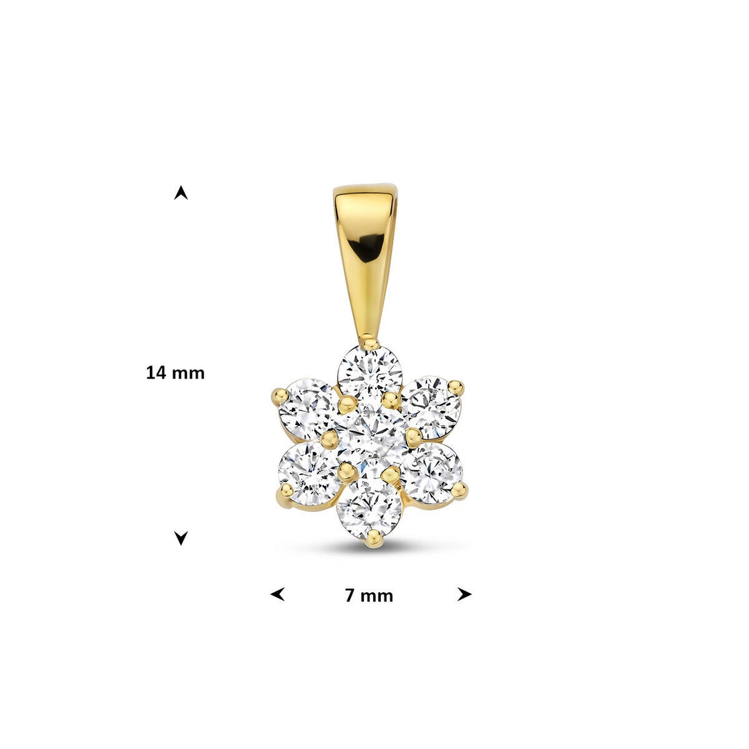 9k Geelkleurige hanger met zirkonia 14 x 7 mm