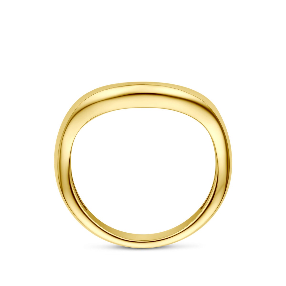 Anello in oro giallo 14k