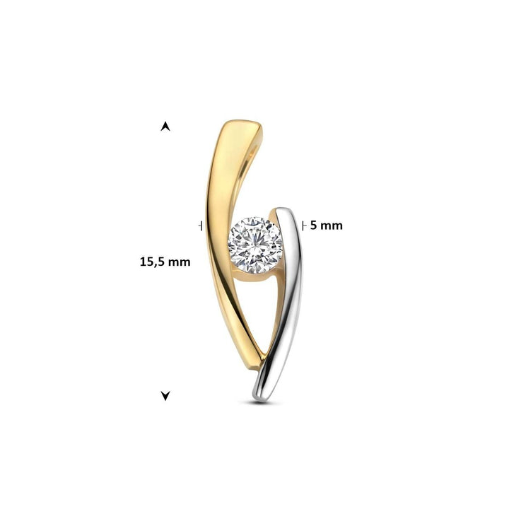 9k Geelgouden bicolor hanger met zirkonia