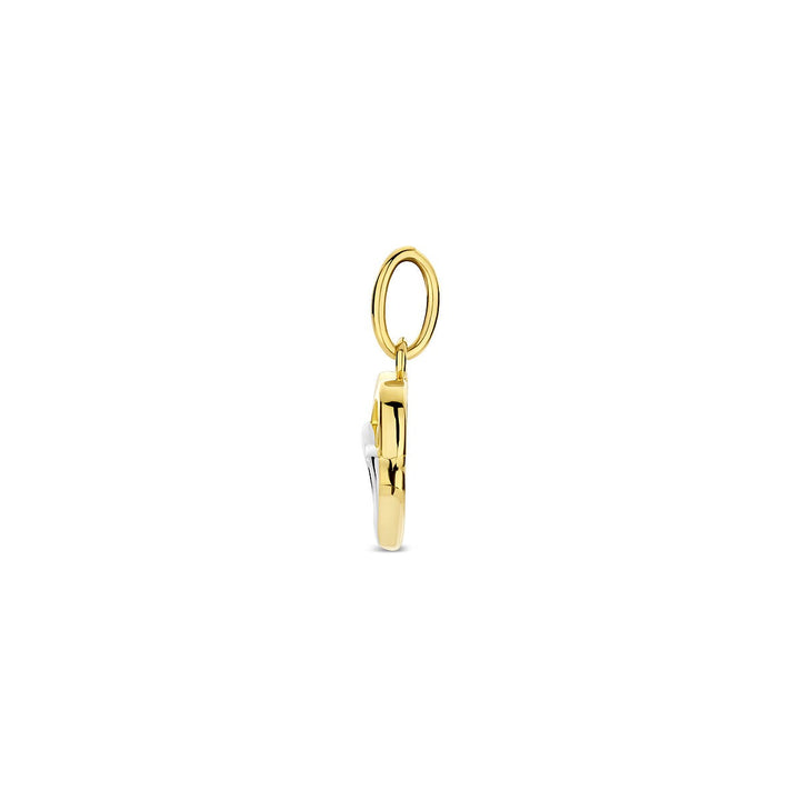 Bicolor hart hanger – 14k wit- en geelgoud
