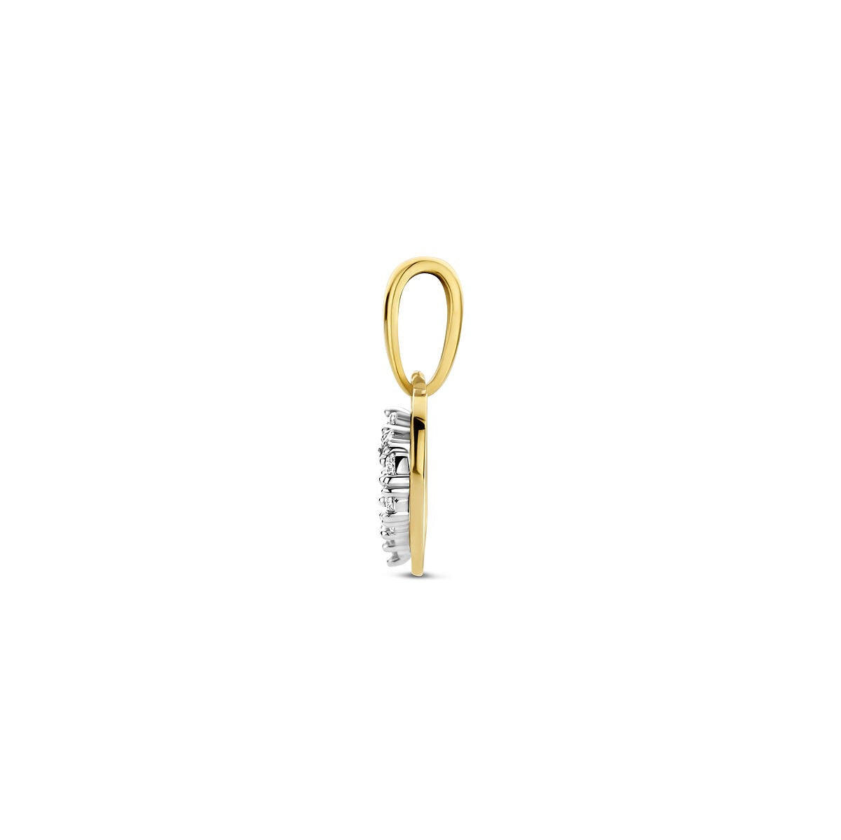 Ciondolo Cuore 9k Bicolore con Zircone