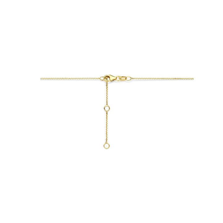 14k Geelgouden ketting met vlinder