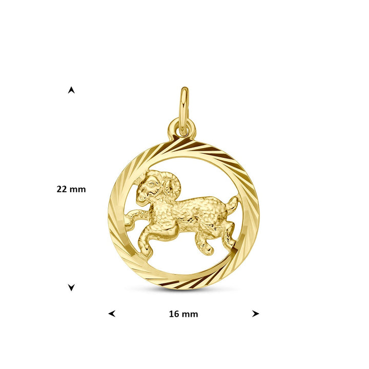 9k Geelgouden sterrenbeeld hanger