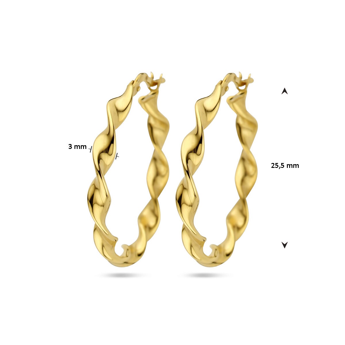 Orecchini a cerchio ritorti color oro su argento
