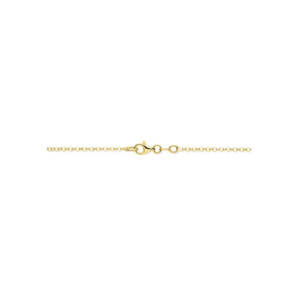 Collana in argento 925 placcato oro con doppio cuoricino