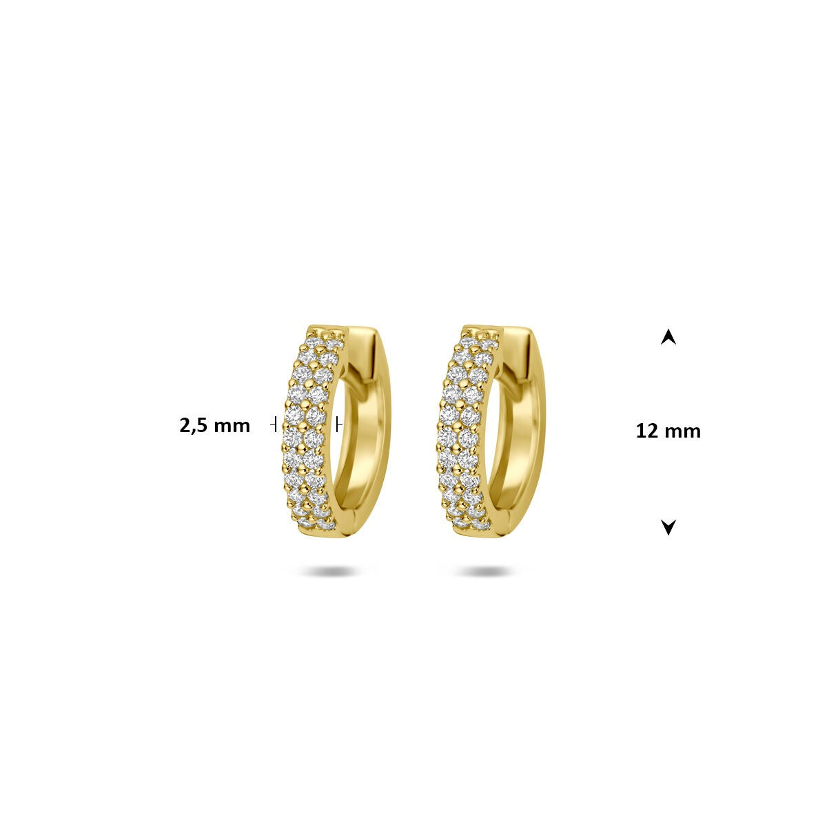 Orecchini a cerchio in oro giallo 14k con zirconi