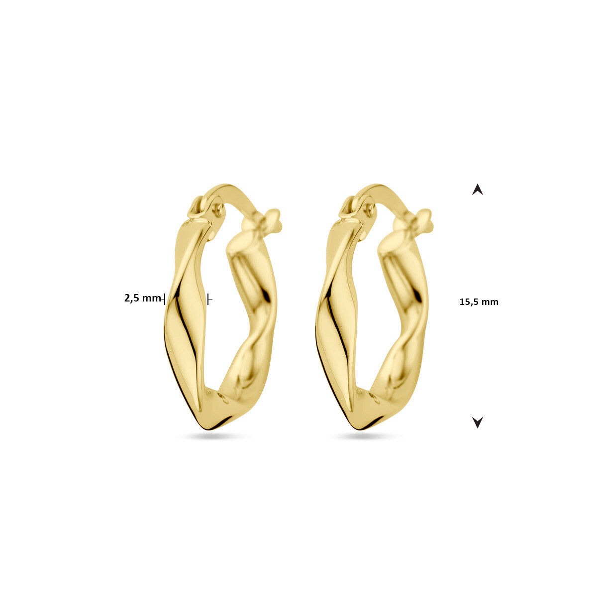 Orecchini a Cerchio Ritorti in Oro Giallo 9k 2,5 mm Donna