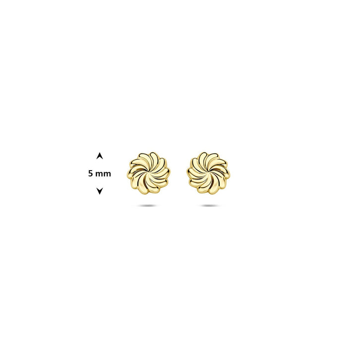 9k Geelgouden gedraaide oorknoppen