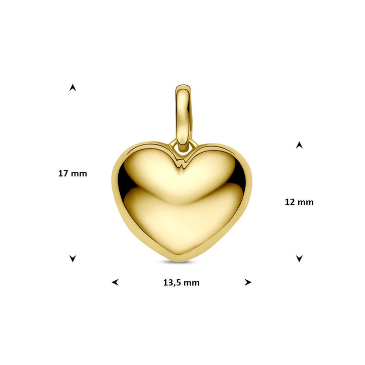 14k Geelgouden hart hanger