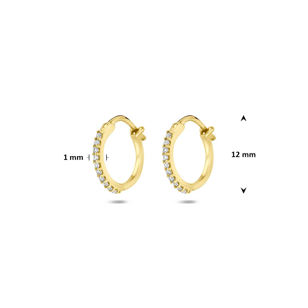 Orecchini a cerchio in oro giallo 14k con zirconi