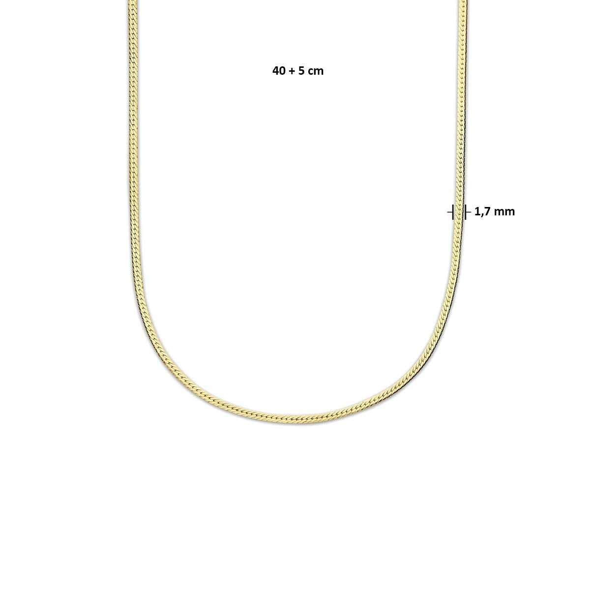 Collana d'Argento Dorato con Maglia a Serpente Piatta