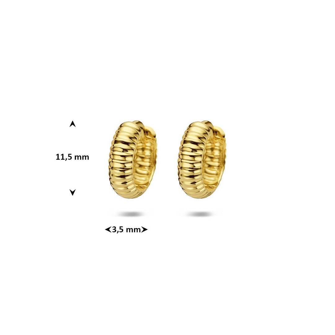 9k Geelgouden klapoorringen