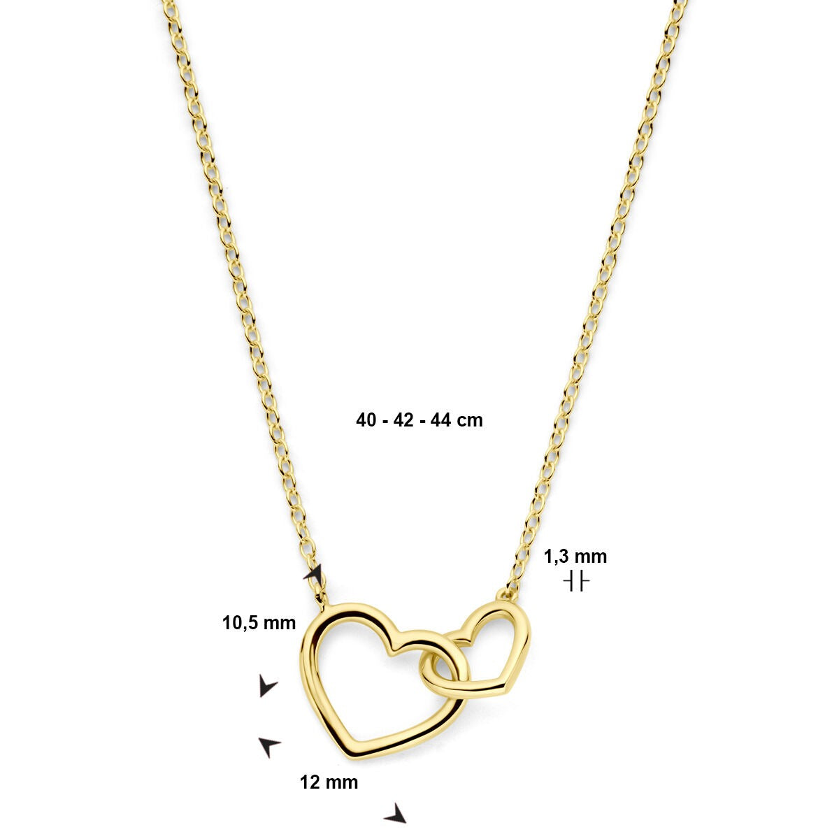 Collana in oro giallo 14k con due cuori