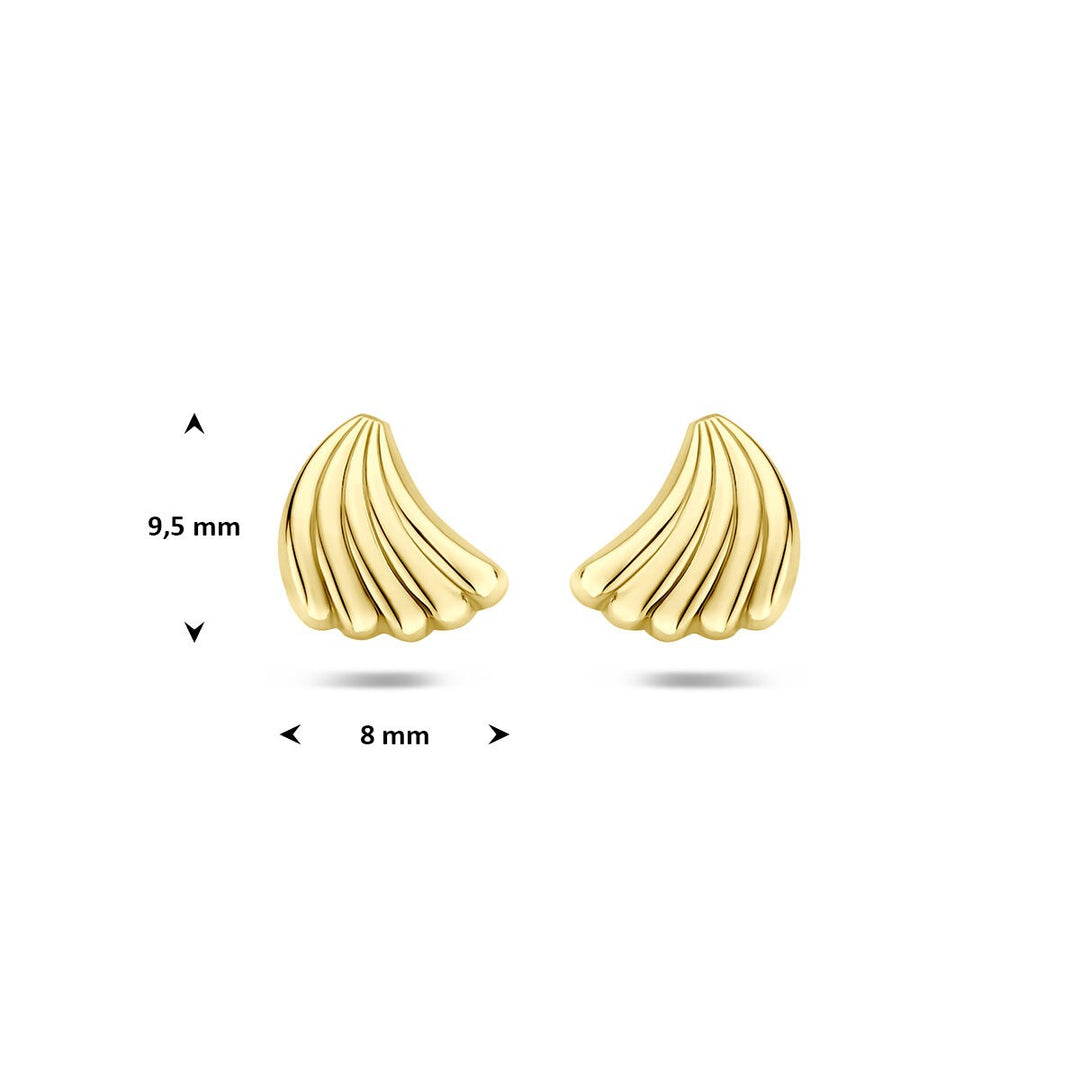 14k Geelgouden oorknopjes