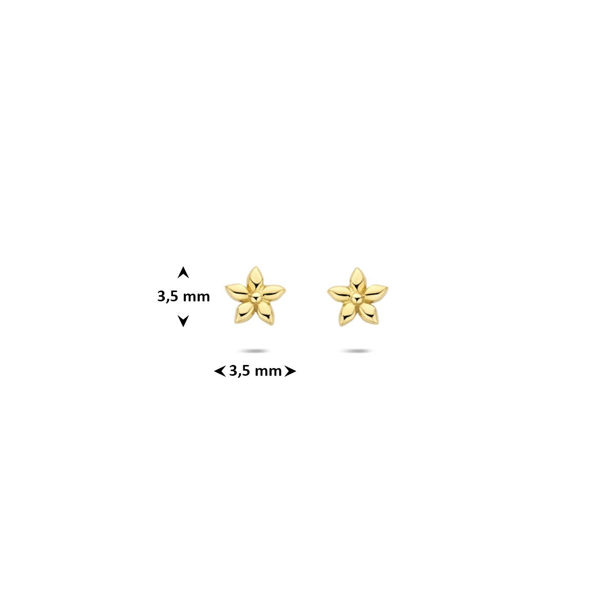 Orecchini a Perno in Oro Giallo 14k Fiore