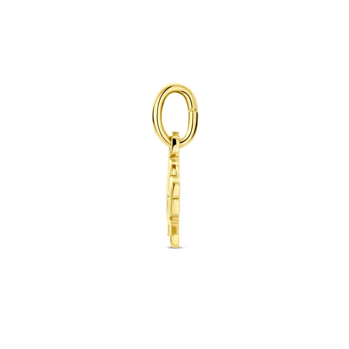 9k Geelgouden klavertje hanger