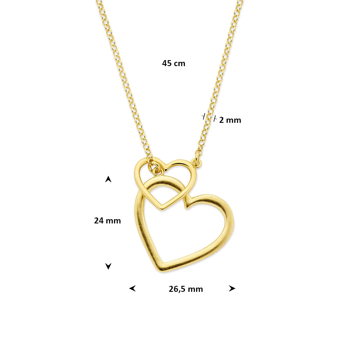 Collana in argento 925 placcato oro con doppio cuoricino