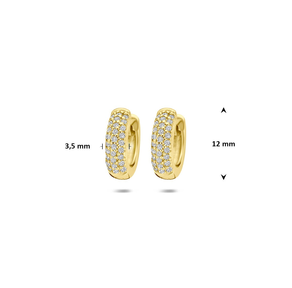 Orecchini a cerchio in argento 925 dorato con zircone
