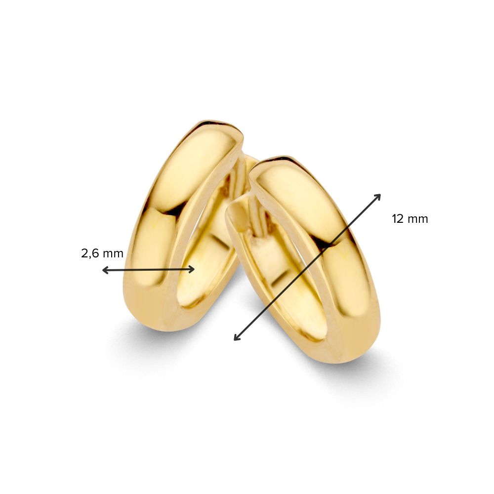 Eleganti orecchini a cerchio in oro giallo – 14 carati, 9 mm di diametro interno, chic e senza tempo
