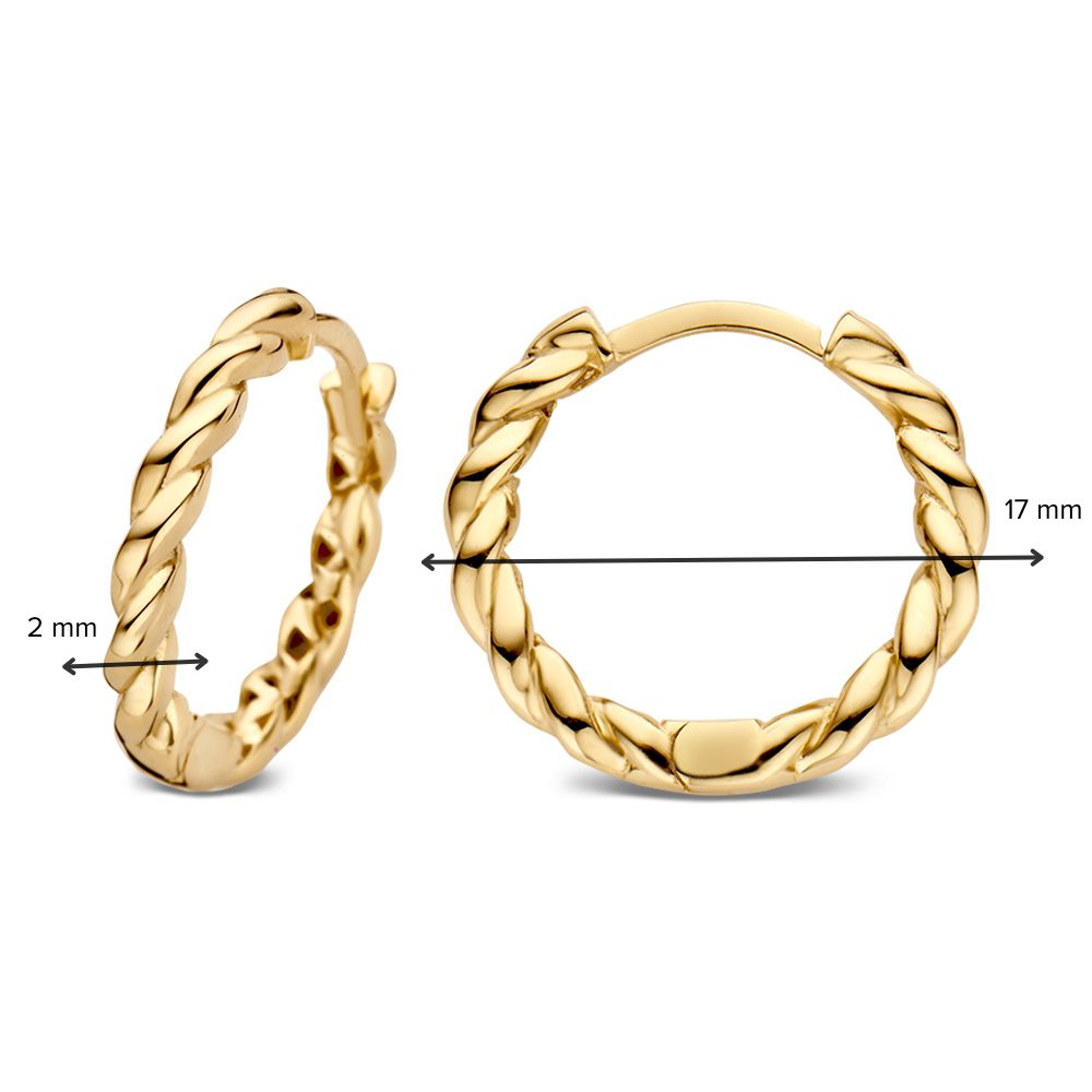 Orecchini a Cerchio in Oro Giallo con Design Ritorto – Orecchini Eleganti Van der Kooij