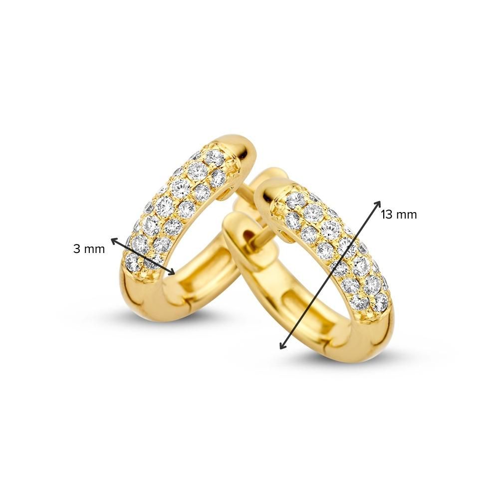Orecchini a Cerchio in Oro Giallo con Diamante: Eleganza Senza Tempo e Splendore 0,32 ct.
