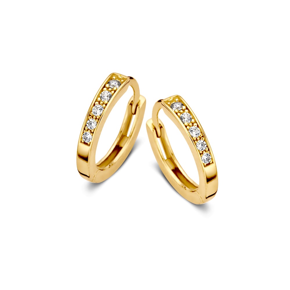 Orecchini in oro giallo con zircone, forma circolare e finitura lucida.