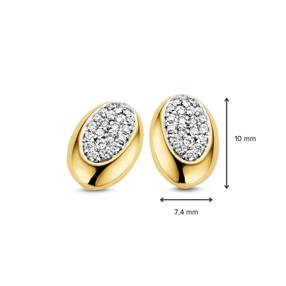 Orecchini a Perno in Oro Bicolore 14 Carati con Brillante - Diamante 0,02 ct