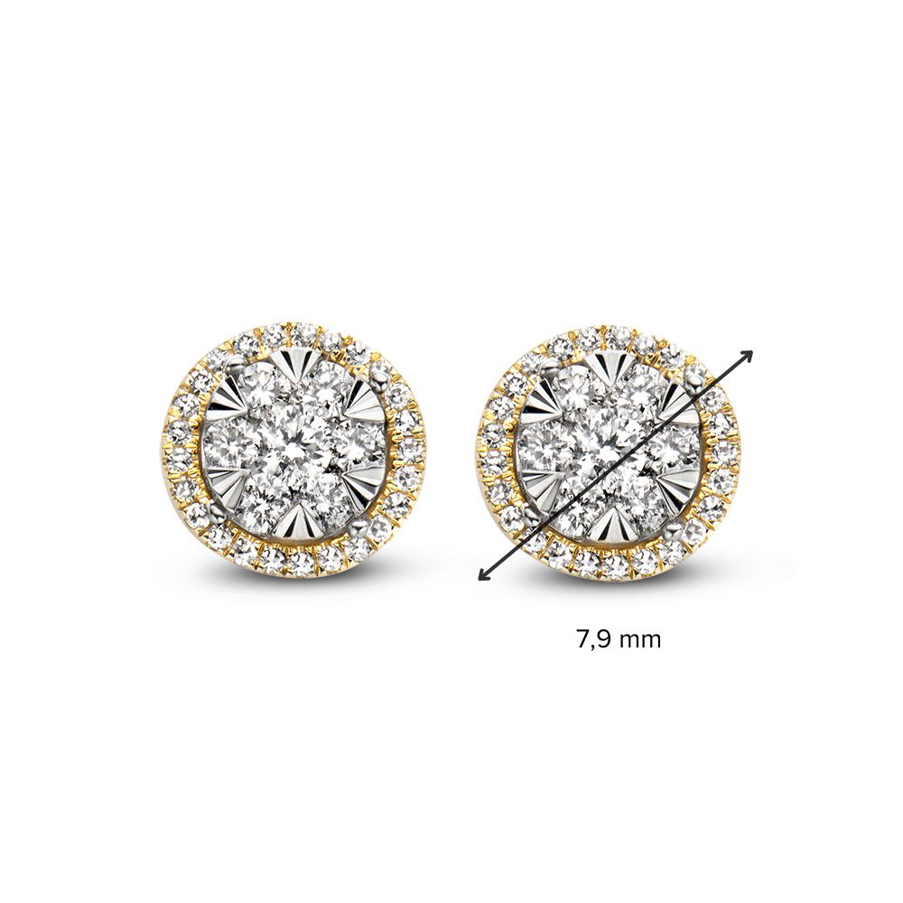 Orecchini a Perno Bicolore in Oro con Diamante da 0,44 ct in Montatura Entourage